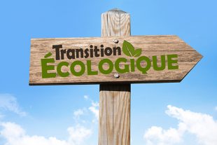 Transition écologique : les grandes ambitions des petites collectivités