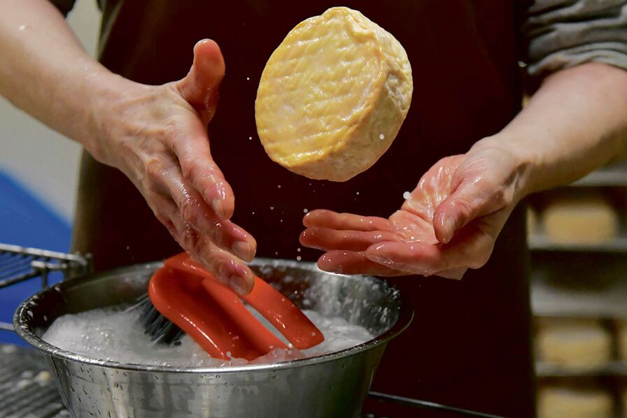 Le changement climatique bouleverse les AOP fromagères